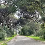 Silvia's House Διαμέρισμα Marina Di Pisa